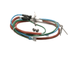 XLT Ovens SP4203-DI-SQ-KIT Flame Sensor/Ignitor Kit