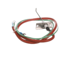 XLT Ovens XA4203A-DI-SQ-O Flame Sensor/Ignitor Assembly - Image 4